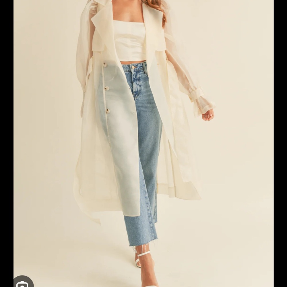 Anthropologie Dolan sheer trench coat